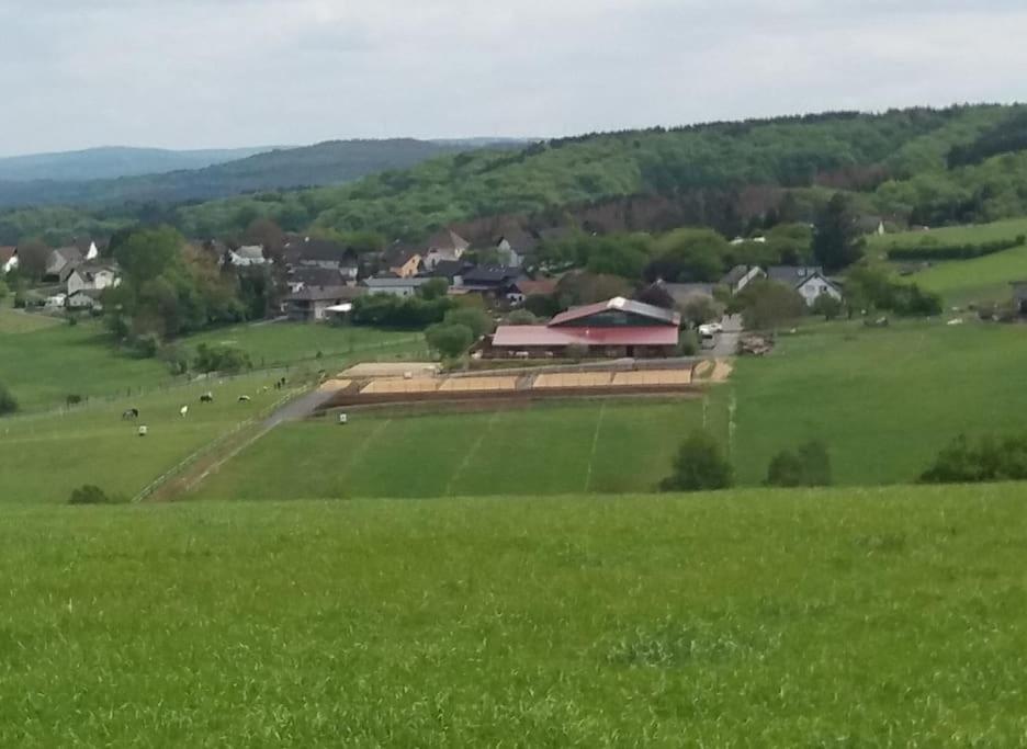 "Die Jockeysuite" Auf Unserem Reiterhof Birkenbeul Buitenkant foto