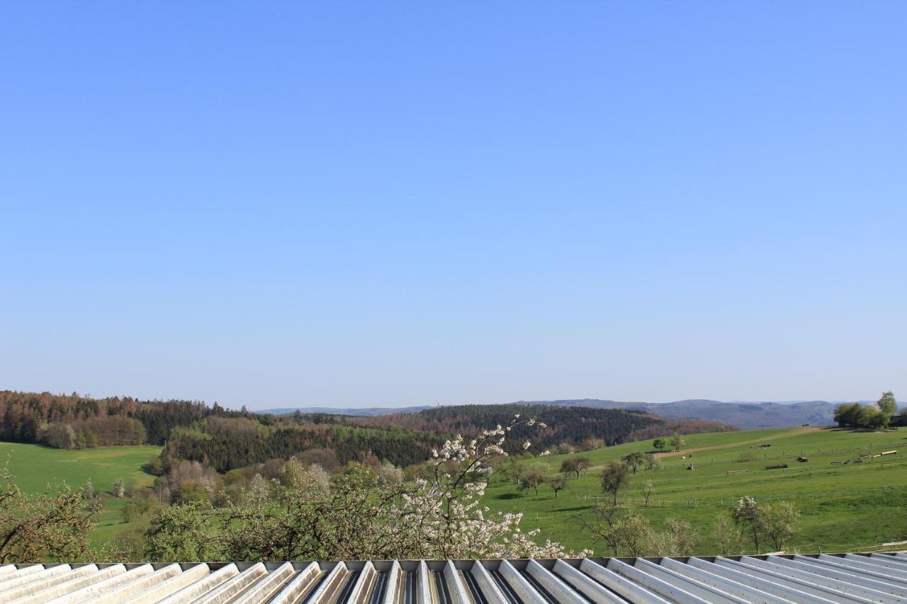 "Die Jockeysuite" Auf Unserem Reiterhof Birkenbeul Buitenkant foto